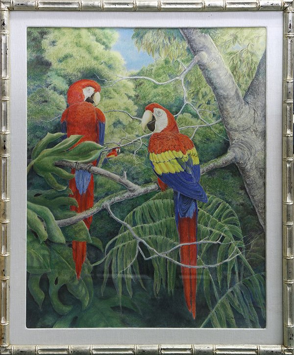 Drawing by Fran Deluca: Fran Deluca (American, Contemporary), Parrots, pastel on paper, signed lower right, overall (with frame): 46.25"h x 38.25"w