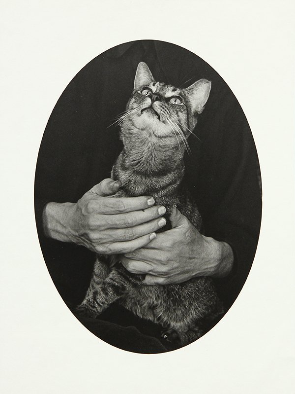 Photograph, Ruth Bernhard, Philip Detlefson's Cat: Ruth Bernhard (American, 1905-2006), Philip Detlefson's Cat, 1974, gelatin silver print, signed in pencil (on mat) lower right, image: 11"h x 8"w, overall (unframed with mat): 20"h x 16"w