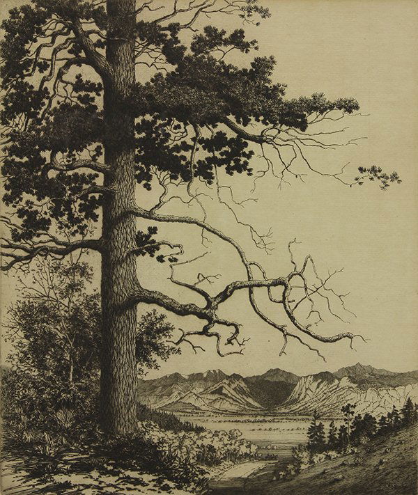 Prints, George Elbert Burr: (lot of 2) George Elbert Burr (American, 1859-1939), "Black Cannon Estes Park, Colo," and "Old Pine Estes Colorado," etchings, each pencil signed lower left and titled lower right, sights: 8.25"h x 6.