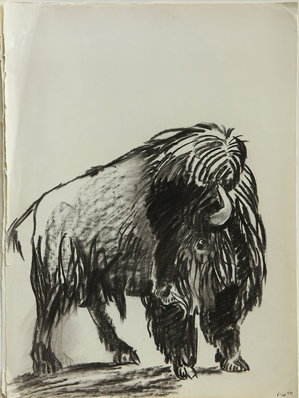 Charcoal Drawings, American School: (lot of 3) American School (20th Century), Study of a Buffalo, Charcoal drawings, 1993, each signed indistictly R. Vogt?, each dated, largest sheet overall (unframed): 30"h x 22.5"w. Provenance: The D