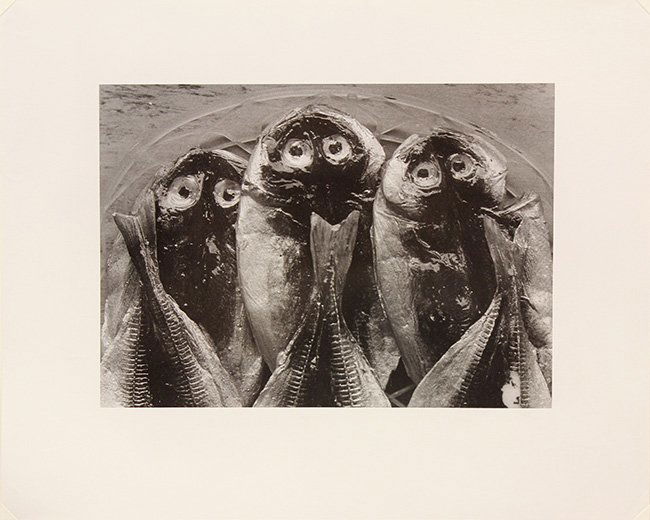 Photographs by Nathan Lerner: (lot of 14) Nathan Lerner (American, 1913-1997), ''Fifteen Photographs: 1935-1978,'' 1983, gelatin silver prints, each pencil signed, dated, and editioned verso, from an edition of 45, published by Ph