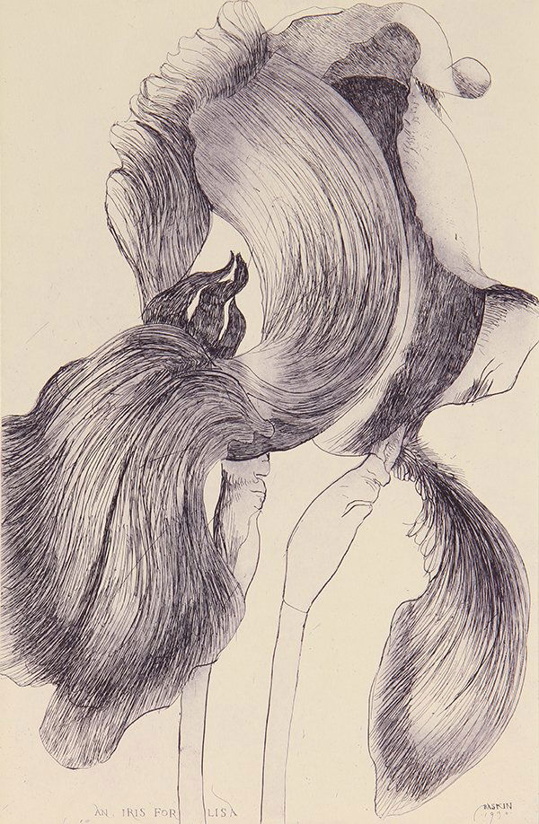 Print by Leonard Baskin: Leonard Baskin (American, 1922-2000), "An Iris for Lisa," 1970, etching, pencil signed lower right, plate signed and dated lower right, edition 94/130, image: 18"h x 12"w, sheet: 30"h x 22"w