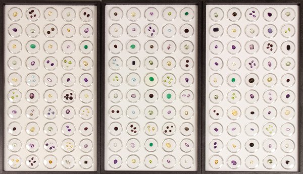 Six trays of unmounted gemstones: Six trays of unmounted gemstones numerous unmounted gemstones including peridot, prasiolite, garnet, amethyst, citrine, smoky quartz, iolite and chrysoprase