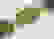 item-38198078=2