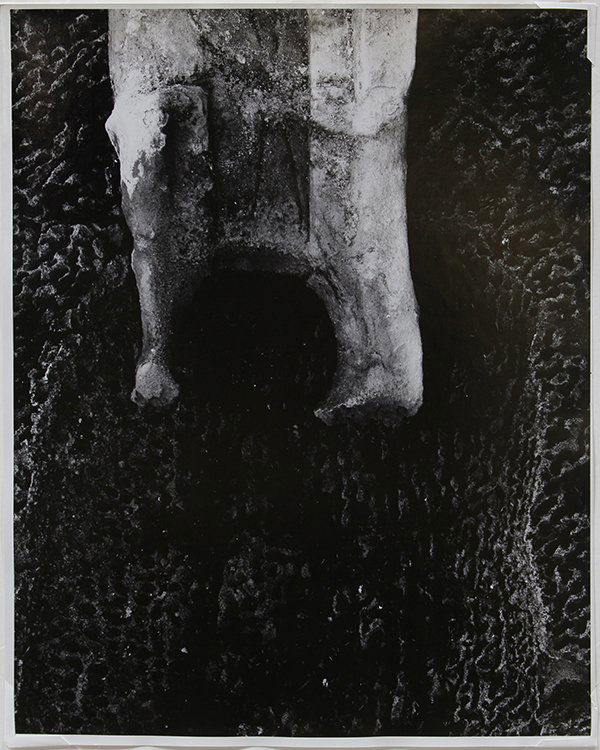 Photograph, Aaron Siskind, Terracotta (Ill.) 13: Aaron Siskind (American, 1903-1991), "Terracotta (Ill.) 13," 1960, gelatin silver print, pencil signed, titled, and dated verso, inscribed "Tev 13 - 60" verso, The Art Institute of Chicago, Department