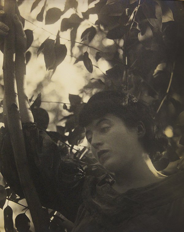 Photograph, Sherril Schell: Sherril Schell (American, 1877-1964), Portrait of Elizabeth Wilbur, 1937, gelatin silver print, image/sheet: 9.5"h x 7.5"w, overall (with mat): 13"h x 11.5"w. Note: From the photo shoot of actress, El