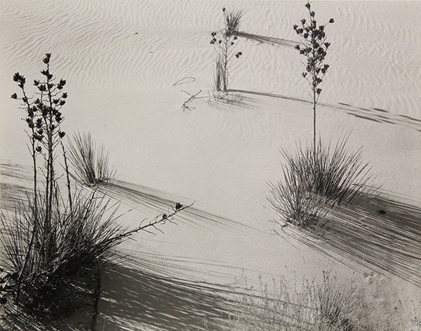 Photograph, Brett Weston: Brett Weston (American, 1911-1993), "PL 3 White Sands," 1946, gelatin silver print, signed verso, image/sheet: 7.5"h x 9.5"w, overall (with mat): 16"h x 20"w