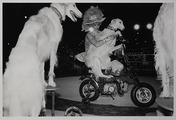 Photograph, Bill Dane: Bill Dane (American, 20th century), Reno, 1983, gelatin silver print, pencil signed, titled and dated lower right, image: 12"h x 18"w, sight: 13"h x 19"w, overall (with frame): 20.5"h x 25.75"w. Prove