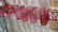 (lot of 31) Collection of Victorian cranberry glass - 4