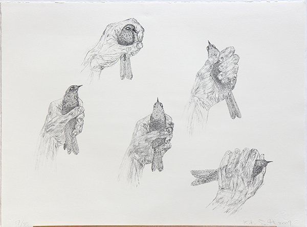 Print, Kiki Smith: Kiki Smith (American, b. 1954), "Untitled," 2009, lithograph, pencil signed lower right and dated, edition 17/95, Tamarind Chop lower left, Printer's chop lower right, printed by Bill Lagattuta, publi
