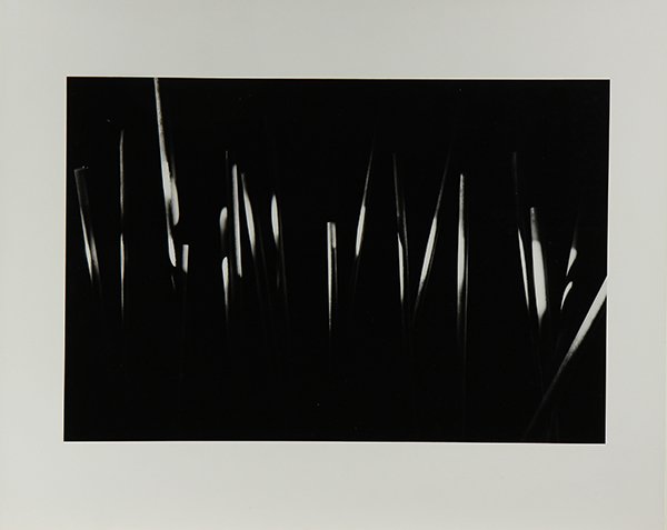 Portfolio, Nathan Lerner (1 of 6)