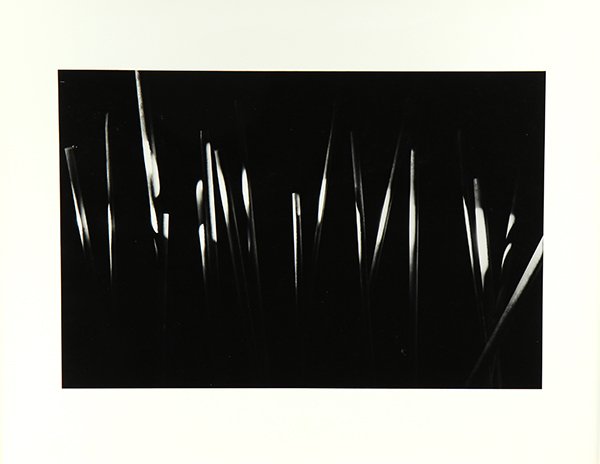 Portfolio, Nathan Lerner (1 of 5)