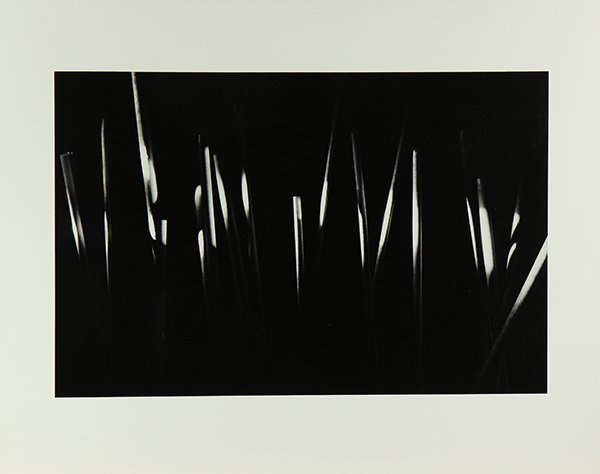 Portfolio, Nathan Lerner (1 of 5)