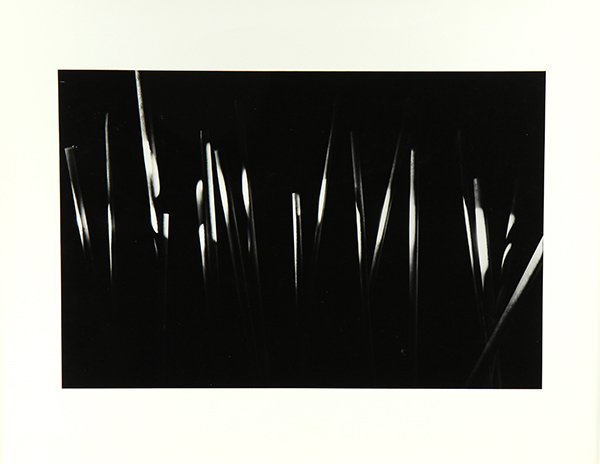 Photographs, Nathan Lerner (1 of 7)