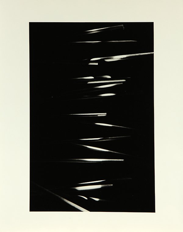 Portfolio, Nathan Lerner (1 of 8)