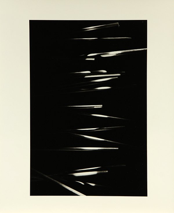 Portfolio, Nathan Lerner (1 of 8)