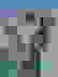 item-42351972=2