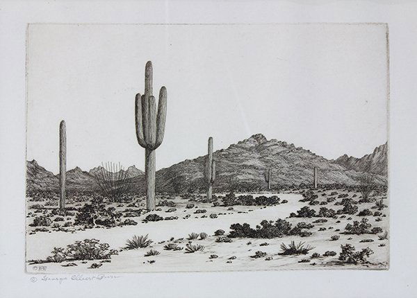 Print, George Elbert Burr (1 of 3)