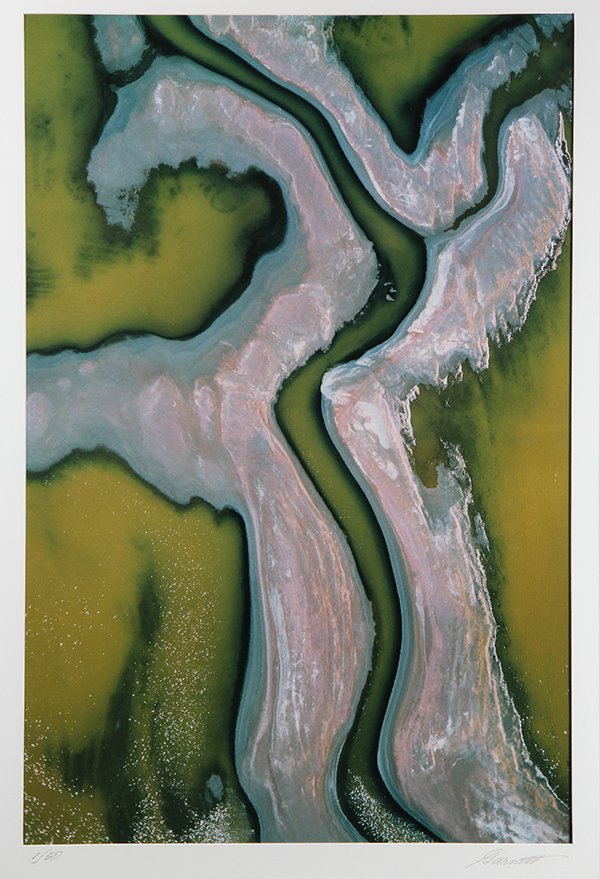 Photograph, William Garnett, Napa Marsh #1 (1 of 5)