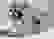 item-42352286=4