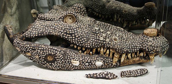 Papua New Guinea naturalistically carved wood crocodile (1 of 3)