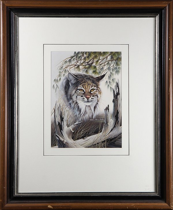 Painting, William Warren Dailey: William Warren Dailey (American, 1920-2002), "Bobcat," gouache on paper, signed lower right, overall (with frame): 28.5"h x 23.25"w