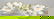 2687: Herend porcelain serving tray