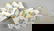 2687: Herend porcelain serving tray - 2