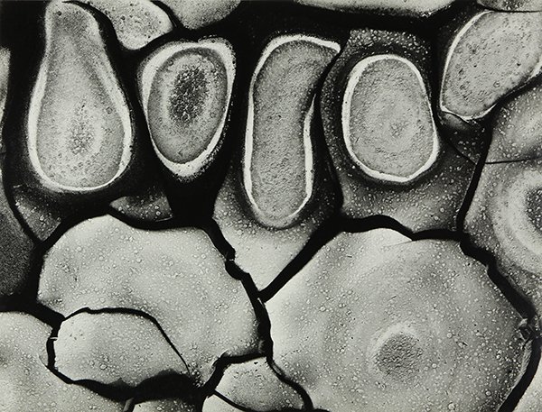 Photograph, Brett Weston: Brett Weston (American, 1911-1993), "Mud Cracks," 1968, from Abstractions #1 portfolio, gelatin silver print dry mounted on artist board, pencil signed and dated lower right, stamped verso: "Portfolio