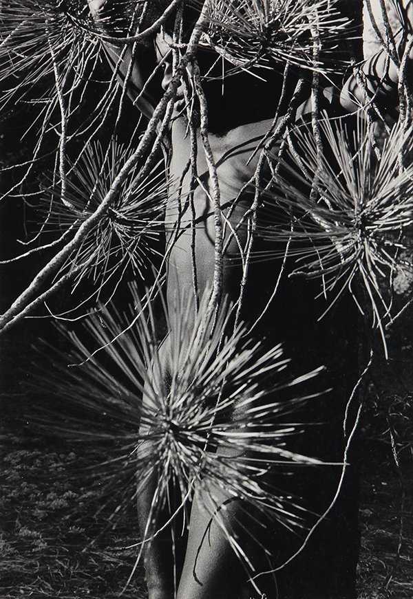 Photograph, Lucien Clergue: Lucien Clergue (French, 1934-2014), "Yosemite," 1974, gelatin silver print, pencil signed lower right, artist stamp verso, titled and dated lower left, image: 11.75"h x 8"w, sheet: 14.75"h x 11"w, ove
