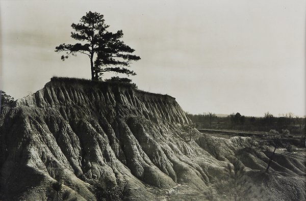 Photograph, Walker Evans: Walker Evans (American, 1903-1975), Soil Erosion, circa 1930, gelatin silver print, marked in pencil verso "Ra305 7-A," and stamped verso "Kindly use the following credit line: Resettlement Administra