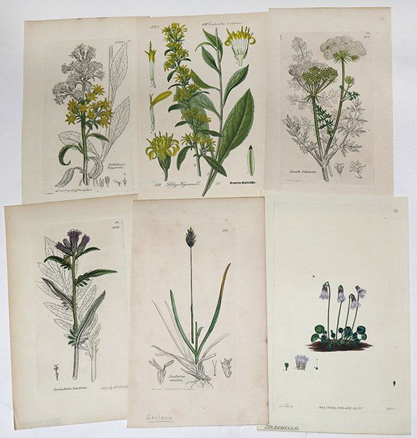 4 boxes of clip-art, Deaccessioned by the California (1 of 3)