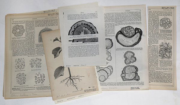 4 boxes of Clip-Art Deaccessioned by the California (1 of 3)