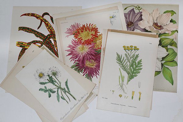 4 boxes of Clip-Art Deaccessioned by the California (1 of 3)