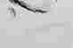 item-43714940=2