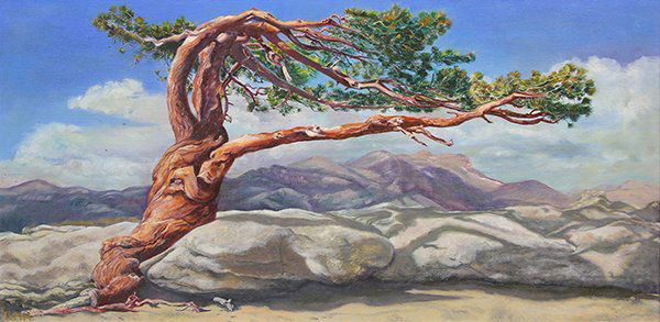 Painting, Desert Juniper (1 of 4)