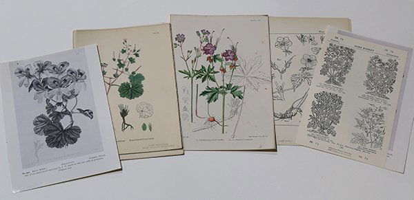 4 boxes of Clip-Art Deaccessioned by the California (1 of 2)