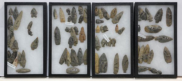 (lot of 6) Riker cases of ancient American arrowheads (1 of 2)