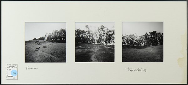 Photograph, Freedom (1 of 1)