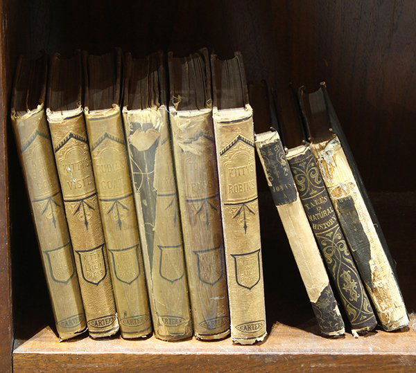 (Lot of 9) Assorted books including (6) Kitty and Lulu (1 of 1)