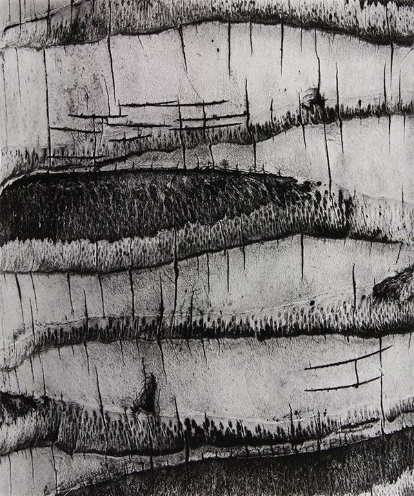 Photograph, Brett Weston (1 of 3)