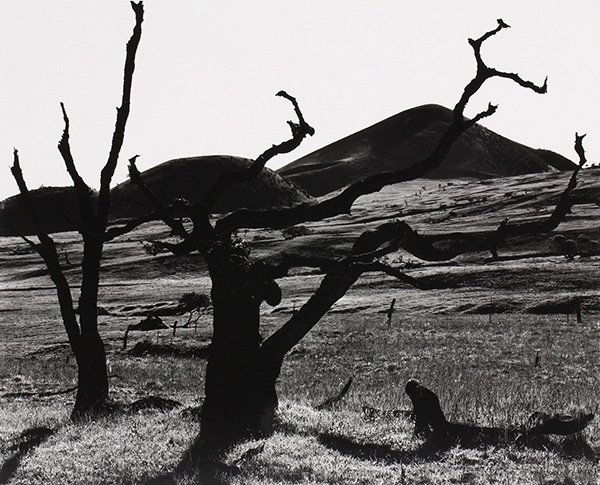 Photograph, Brett Weston (1 of 3)