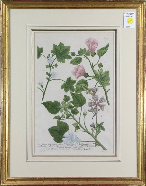 Botanical Prints (1 of 5)