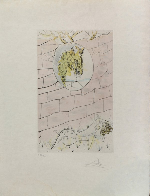 Print, Salvador Dali (1 of 1)