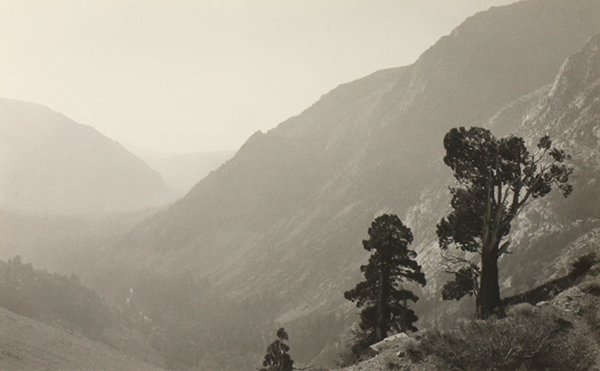 Bill Timmerman, photographs (1 of 8)