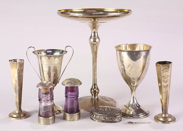 Silver group (1 of 4)