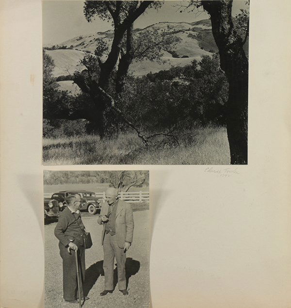 Photographs, The Miniature Camera Club of Oakland (1 of 5)