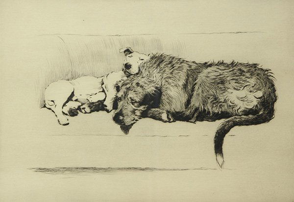 Cecil Aldin, Print (1 of 4)