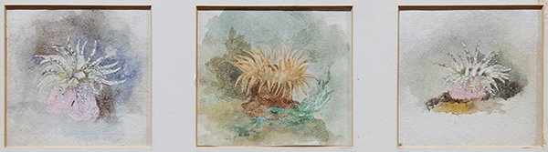 Watercolors, John Ruskin (1 of 4)