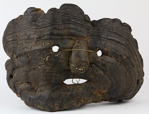 Himalayan Nepalese burlwood mask, late 19th early 20th (1 of 3)